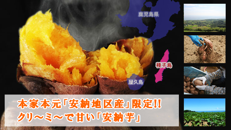 2年連続、日本一！安納芋品評会で最高金賞を受賞